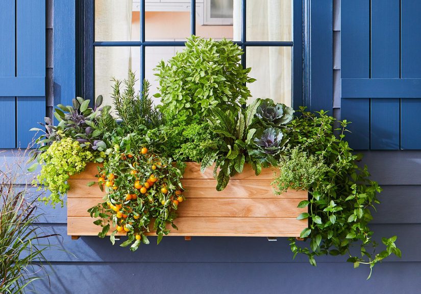 11 Small Vegetable Garden Ideas to Maximize Your Harvest
