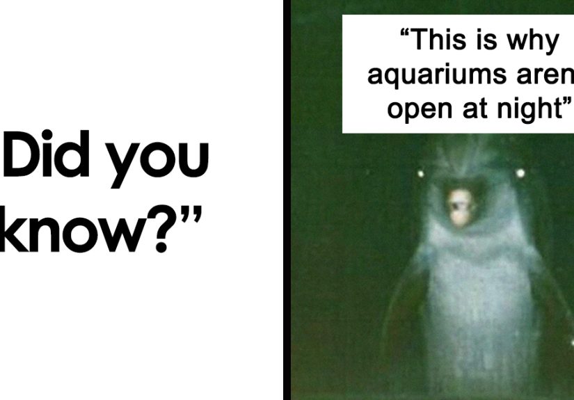 21 Creepy Facts Not For The Faint-Hearted, As Shared On This Instagram Page