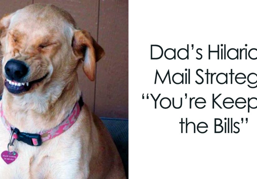 40 Dad Memes That Prove Dads Are The Funniest People Alive