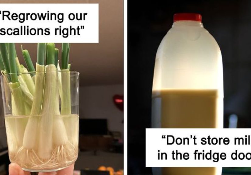 45 Simple Hacks Everyone Can Do To Make Groceries Last Longer