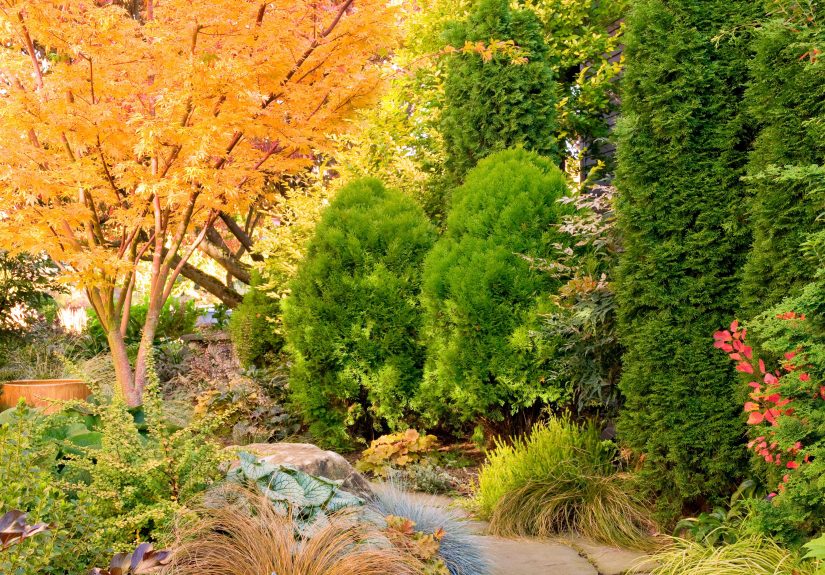 5 Fall Gardening Tips for a More Eco-Friendly Yard