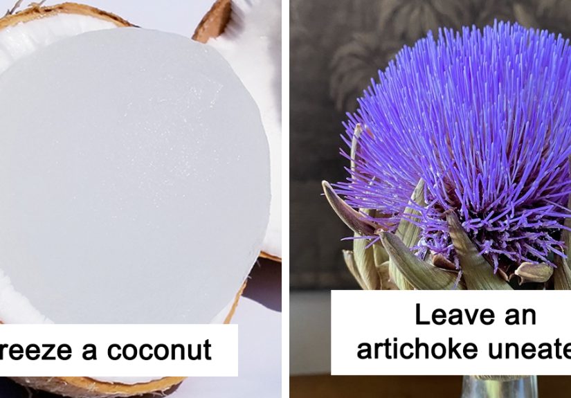 50 People Are Sharing “What Happens If…” So You Don’t Have To Keep Wondering