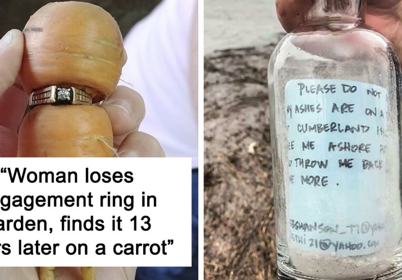 50 Times People Found Such Unexpected Things, They Just Had To Share The Pics In This Online Group