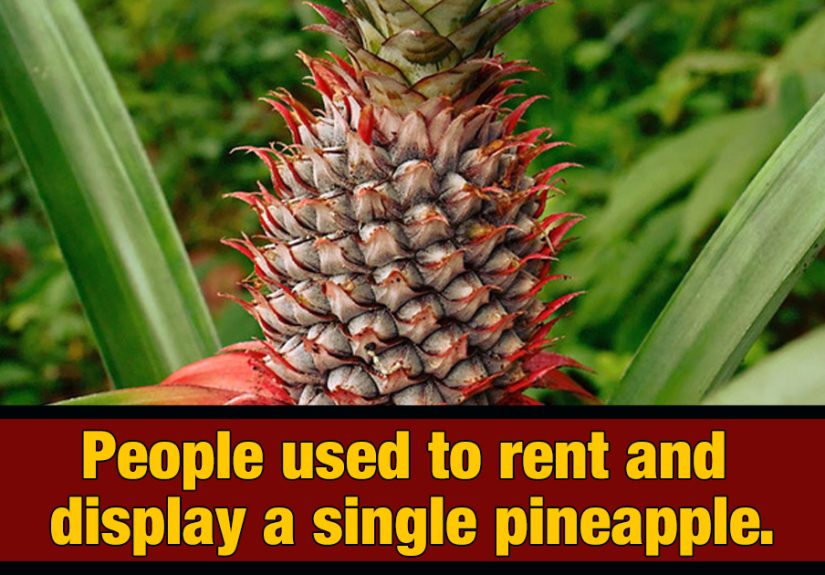 6 Status Symbols From The Past (That Now Seem Totally Ridiculous)