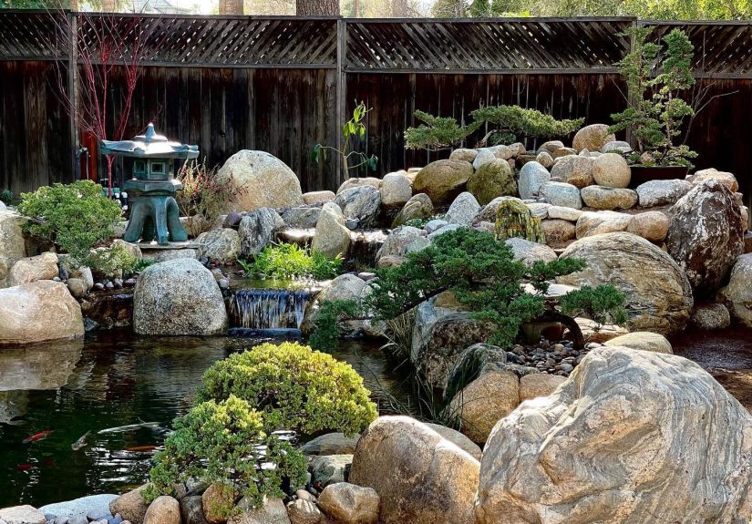 8 Backyard Koi Pond Ideas