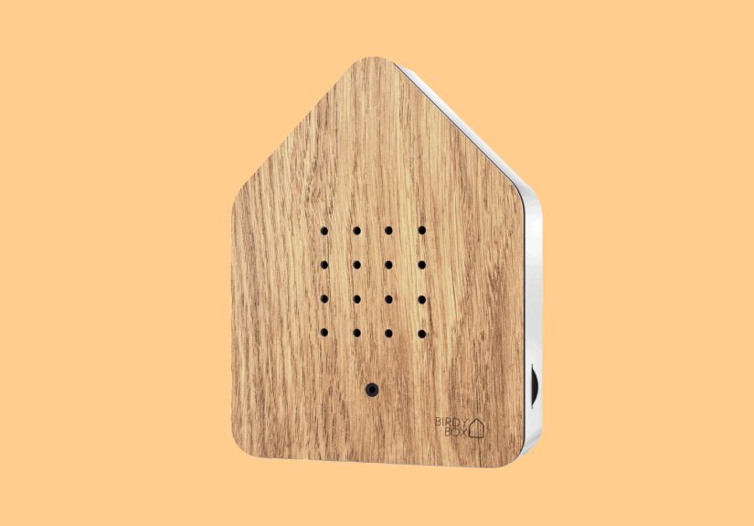 A Sleek Device That Plays Soothing Bird Songs, Plus 5 More Clever Items We Love