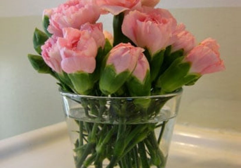 Budget Blooms: Pretty In Pink