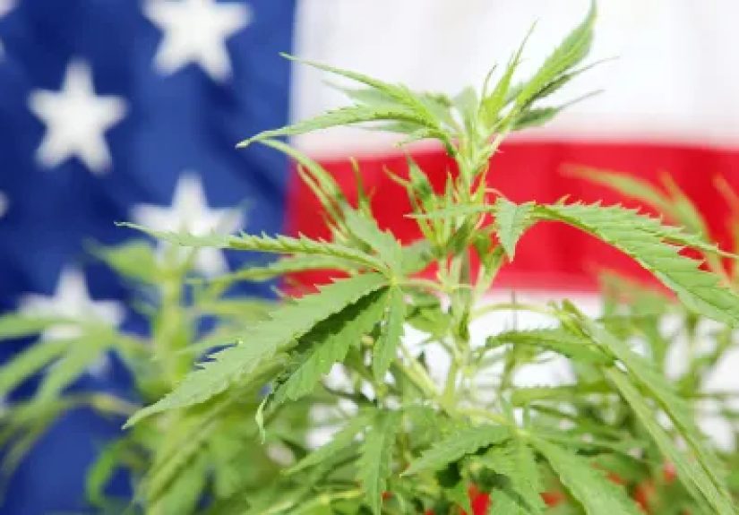 DEA Rescheduling Stalls as Judge Retires, Cole Takes Over