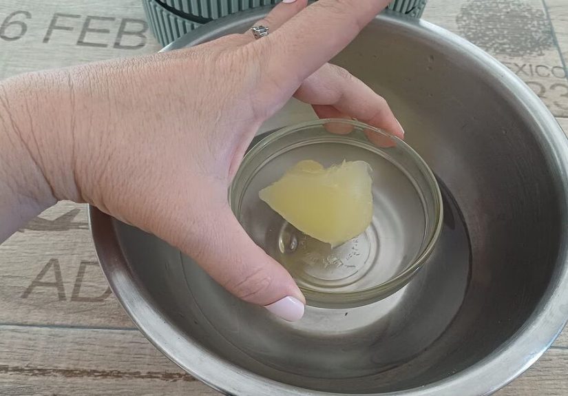 DIY Vicks Bug-Repellent Spray: Keep the Bugs Away at Your Next BBQ