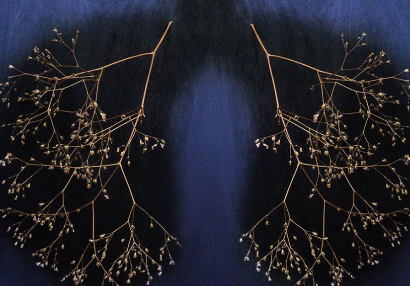 Emphysema prevention: Tips and more