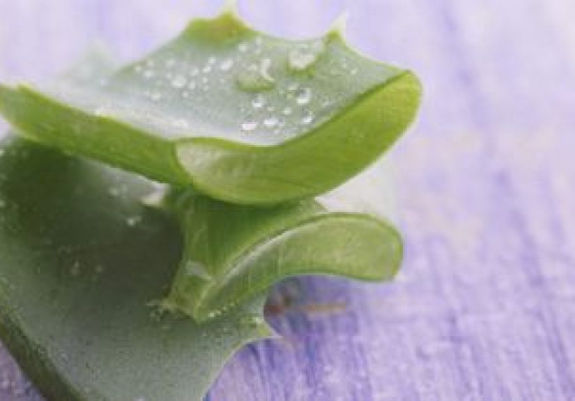 Herbal Remedies for Constipation: Rhubarb, Senna, and More