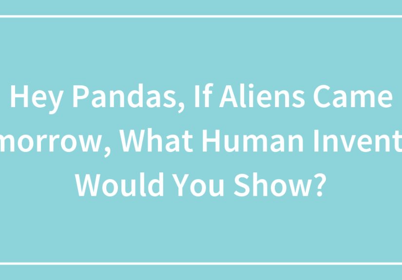 Hey Pandas, If Aliens Came Tomorrow, What Human Invention Would You Show? (Closed)