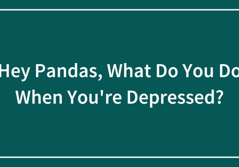 Hey Pandas, What Do You Do When You’re Depressed?
