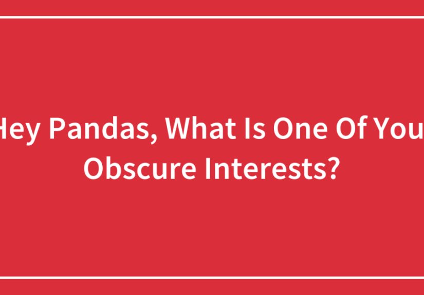 Hey Pandas, What Is One Of Your Obscure Interests? (Closed)