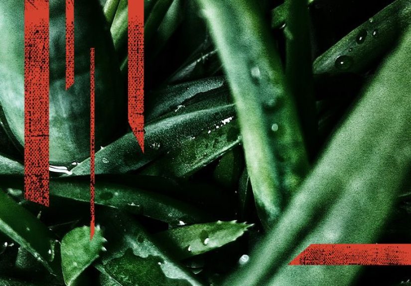 Home Treatment and Remedies for Eczema (Atopic Dermatitis)