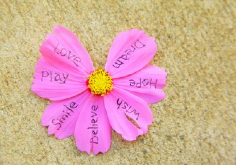 How Much Is Optionality Worth To You? Finding Happiness With Choices