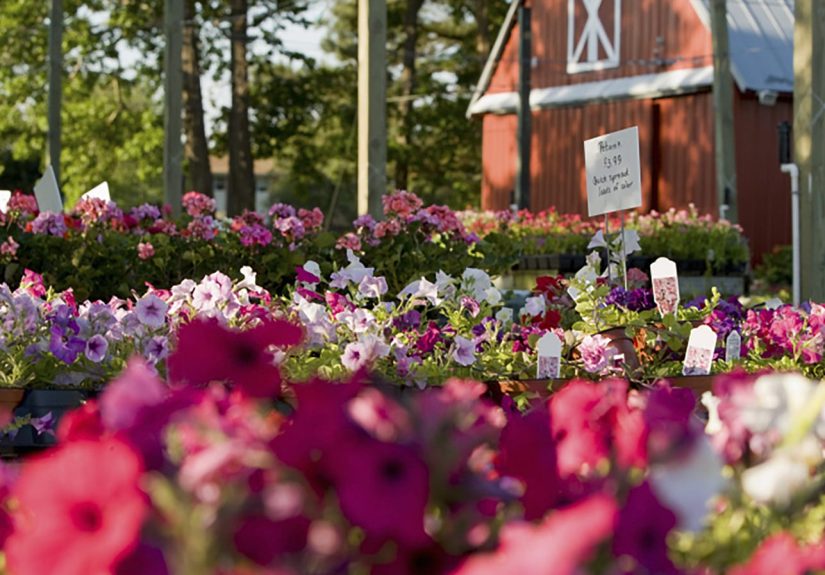 How the Pros Cut Costs on Projects - This Old House