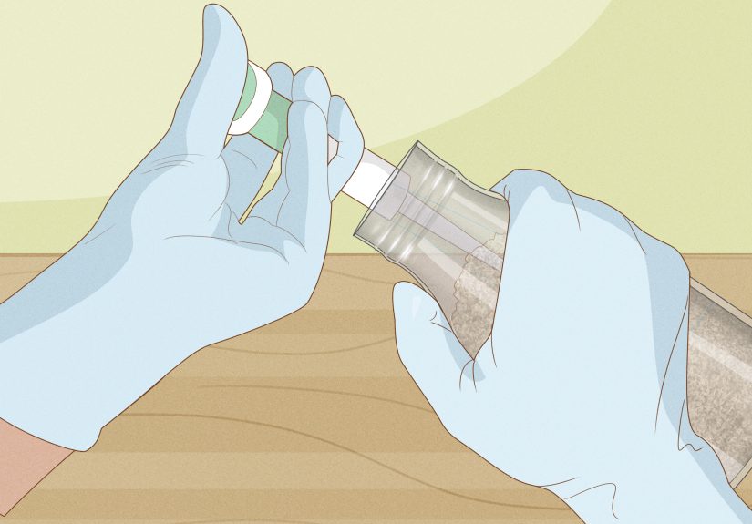 How to Grow Mushrooms