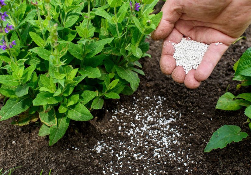 How to Use Fertilizer to Help Plants Flourish