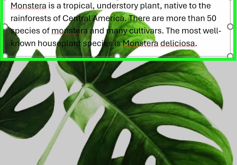 How to Write on Pictures in Word: 3 Easy Ways