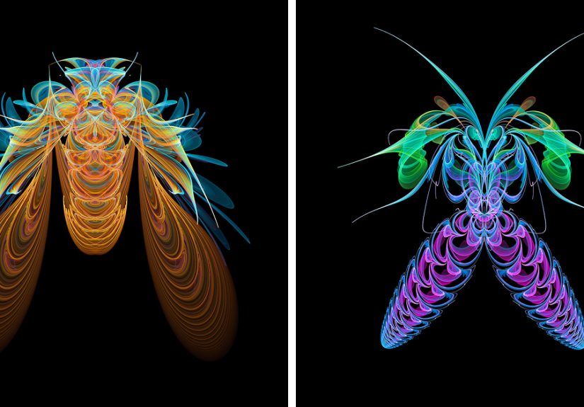 Insect Art Made With Fractals (12 Pics)