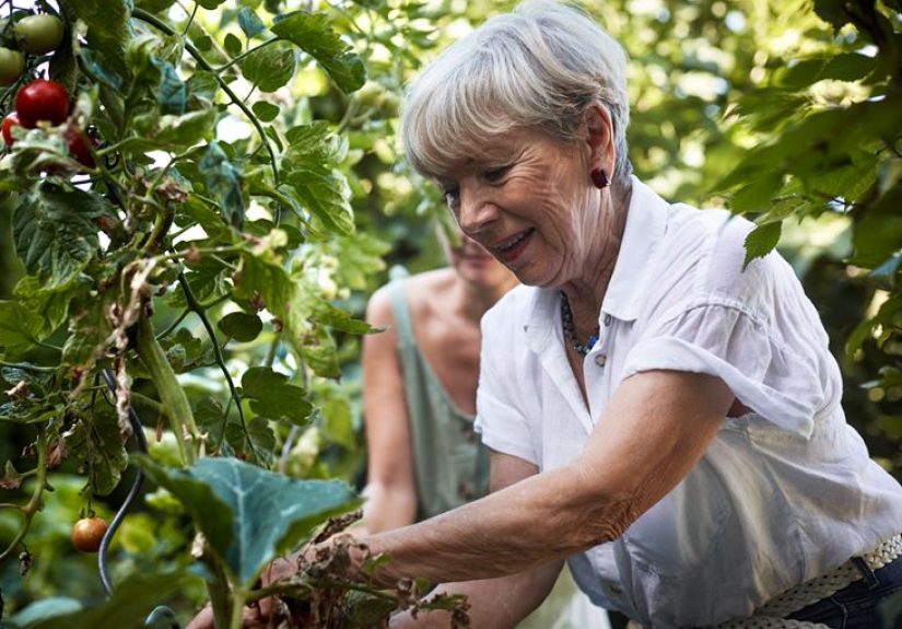 Maintaining a Stable Weight May be Key to Living Past 90