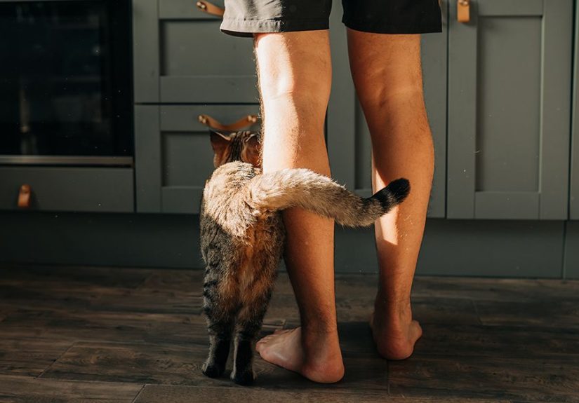 MS Tingling: Why It Happens and What It Feels Like