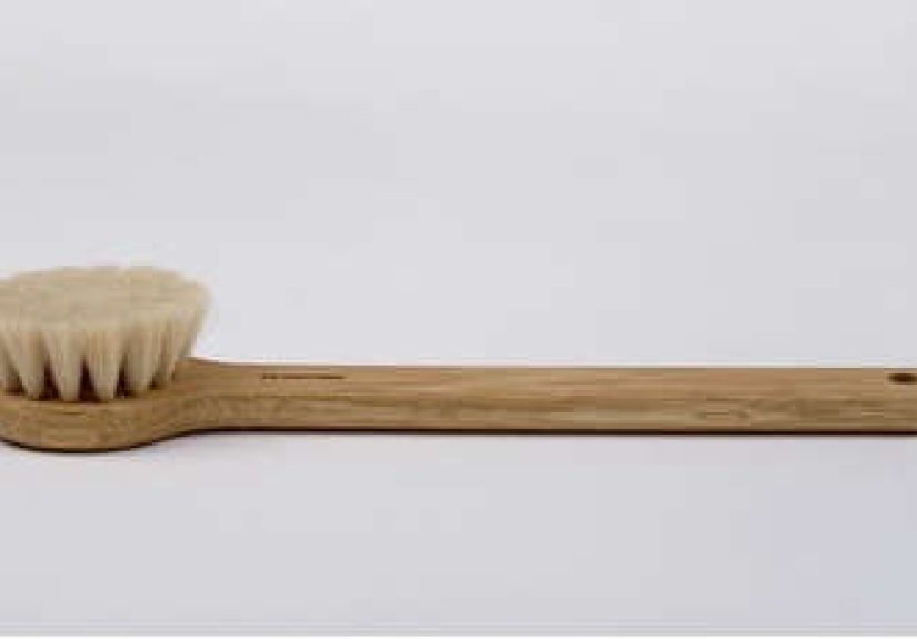 Oiled Oak and Horsehair Bath Brush
