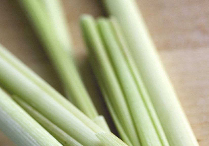 Potential Uses of Lemongrass Oil