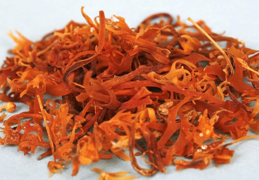 Sea Moss: Benefits, Nutrition, and Preparation