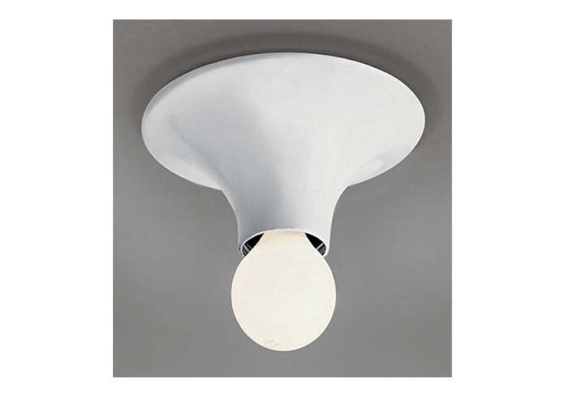 Teti Wall / Ceiling Light