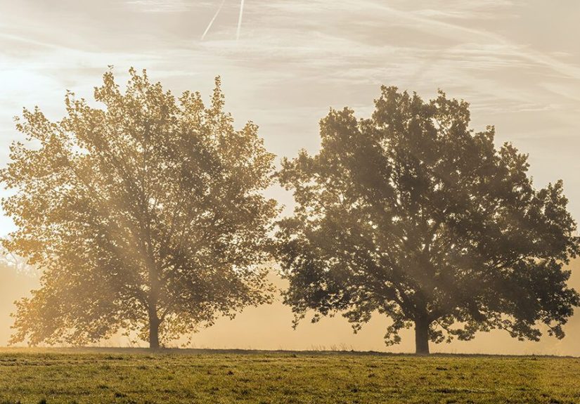 The Link Between OCD and Depression