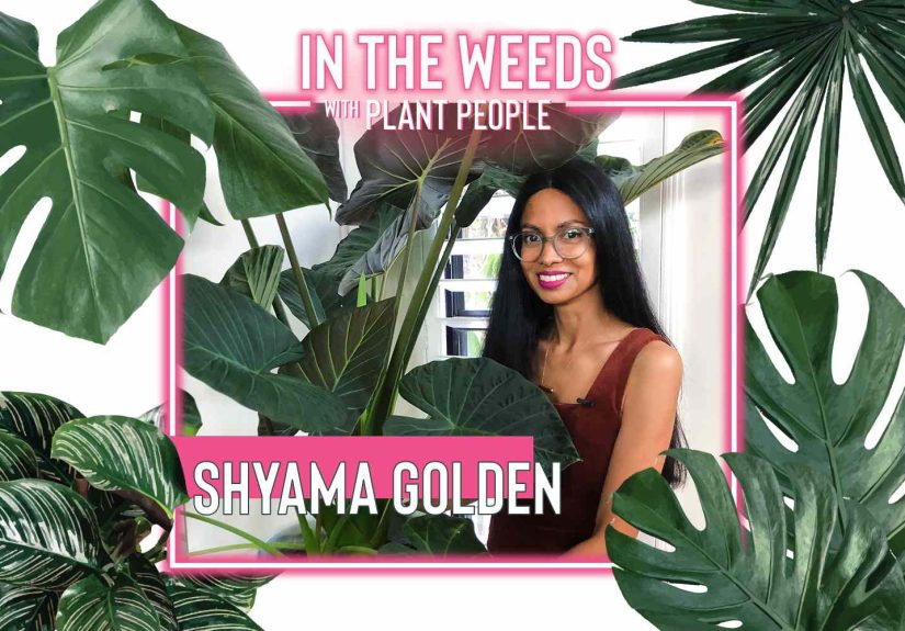 This Artist Designed a Home That Feels Like An “Art Gallery Full of Plants”