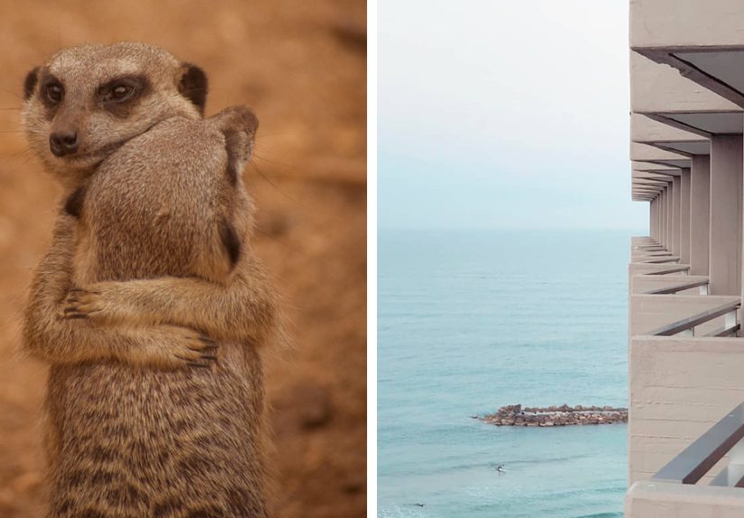 This Reddit Group Is All About Sharing Photos That Amateurs Took, And They Show Just How Good Casual Photographers Are (108 Pics)