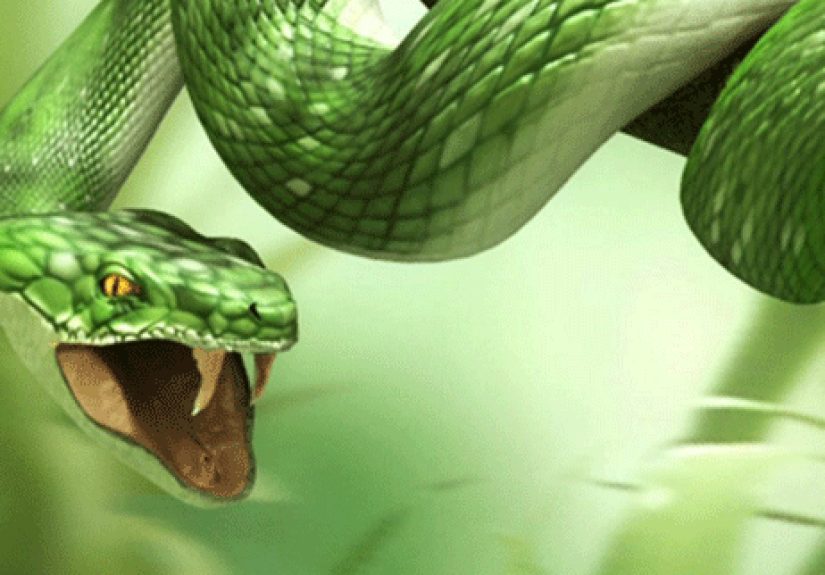 Top 10 Bizarre Disasters