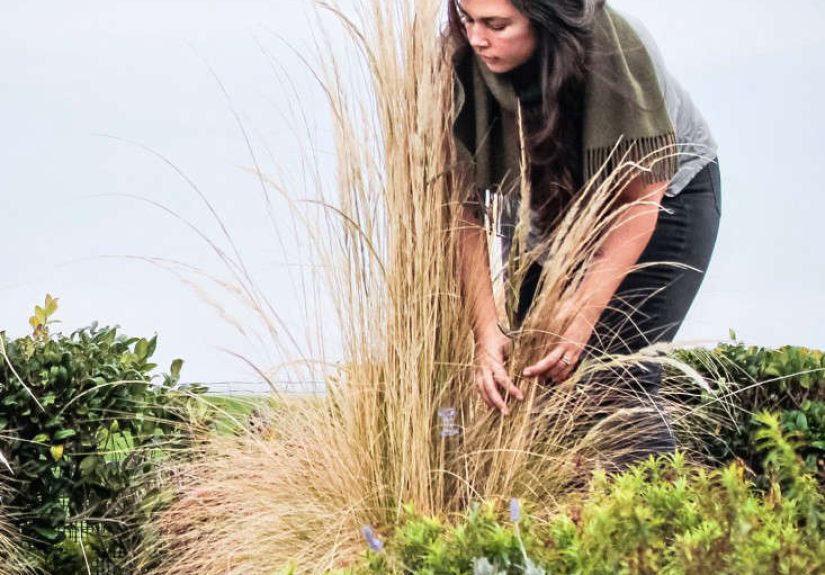 Trending on Gardenista: Spring Fever, Perennials Edition