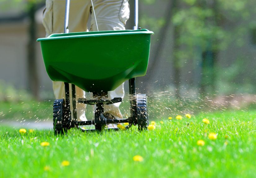What Is Grass Fertilizer Burn? Plus 5 Tips to Prevent It