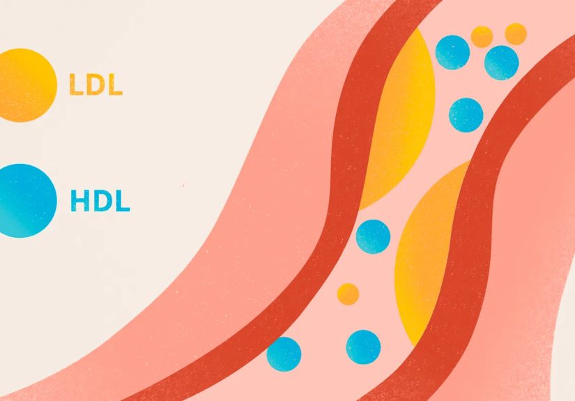 What Is HDL Cholesterol?