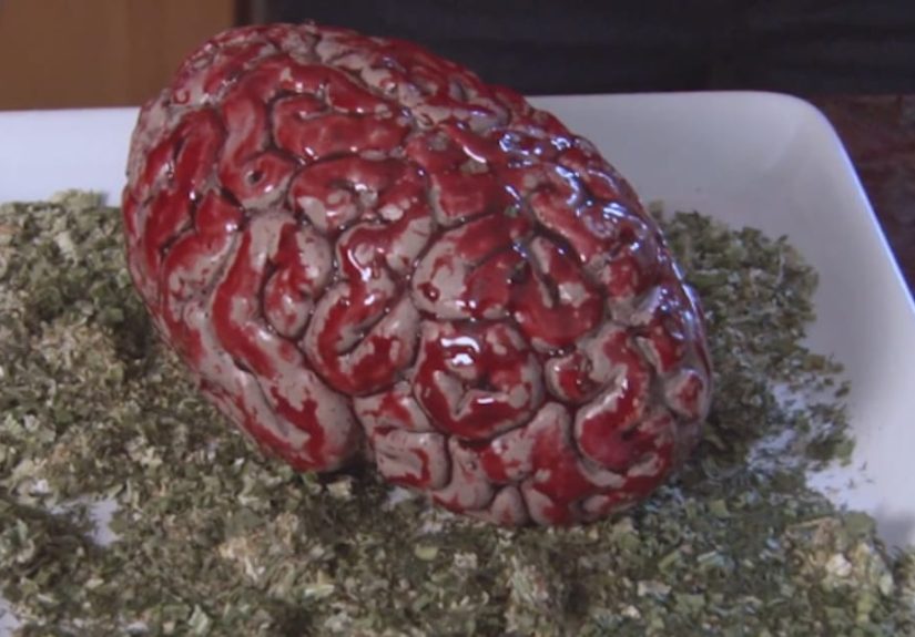 What Marijuana Actually Does To Your Brain