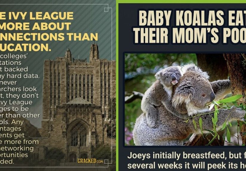 30 Random Bits of Trivia You Can Send Instantly to Your Brain or Other Bluetooth-Compatible Organs