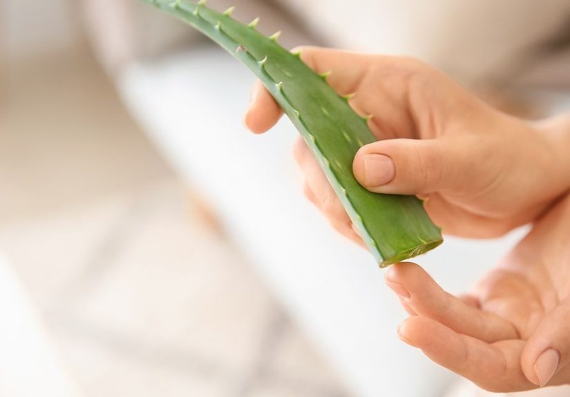 Aloe Vera for Rashes: Research, Efficacy, and More