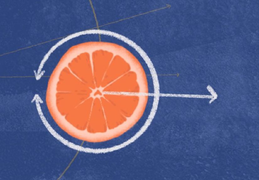 Are probiotics effective in promoting weight loss?