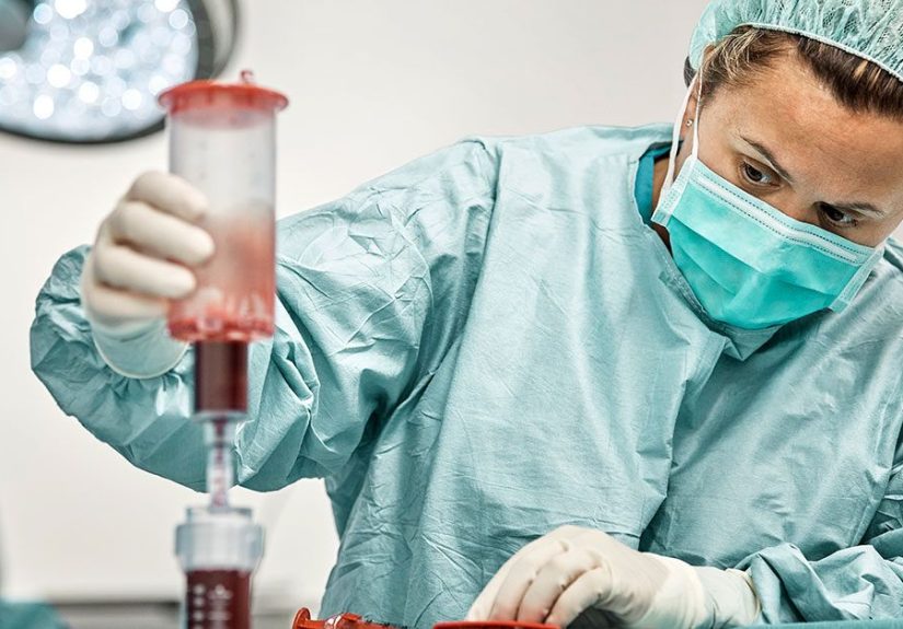 Beta Thalassemia Major Bone Marrow Transplant Success Rates