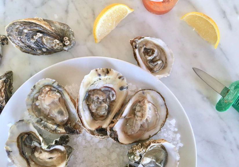 Guide to Shucking Oysters With Ease