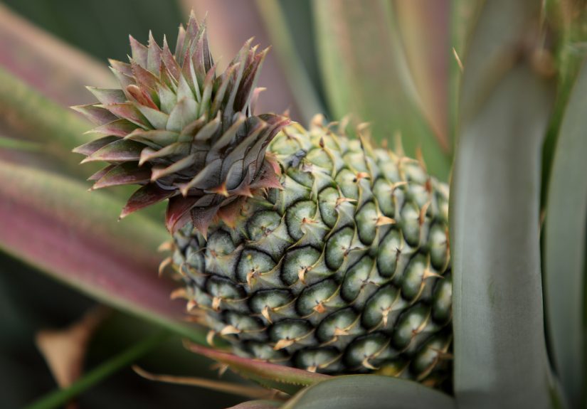 Helping Kids Learn to Self-Regulate