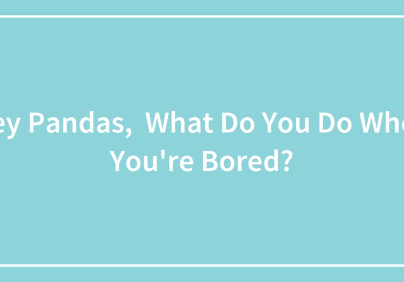 Hey Pandas, What Do You Do When You’re Bored? (Closed)