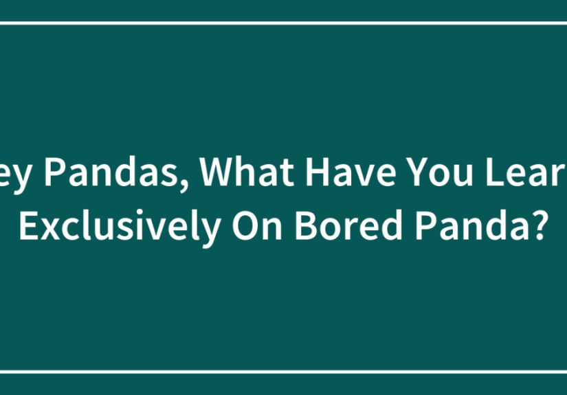 Hey Pandas, What Have You Learnt Exclusively On ?