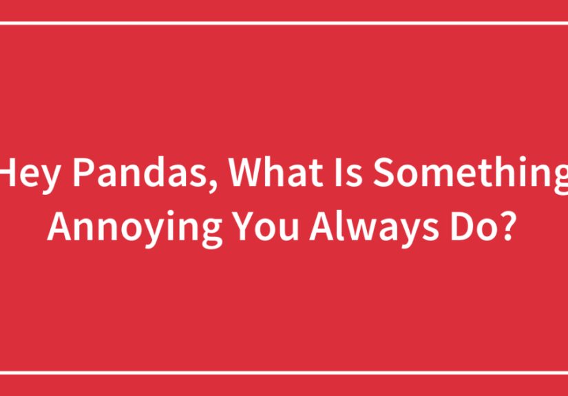 Hey Pandas, What Is Something Annoying You Always Do?