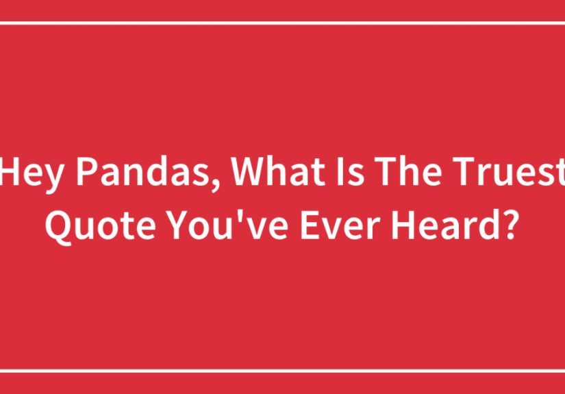Hey Pandas, What Is The Truest Quote You’ve Ever Heard?