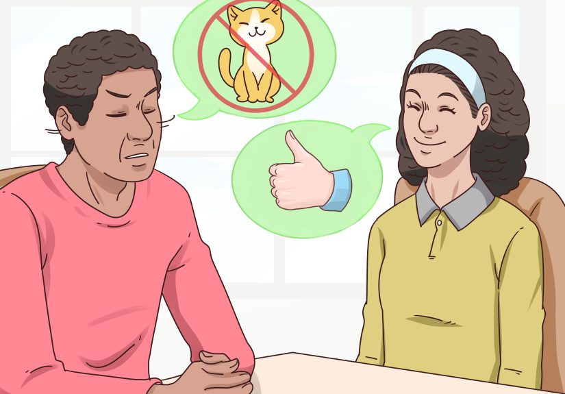 How to Convince Your Parents to Get You a Cat: 14 Steps